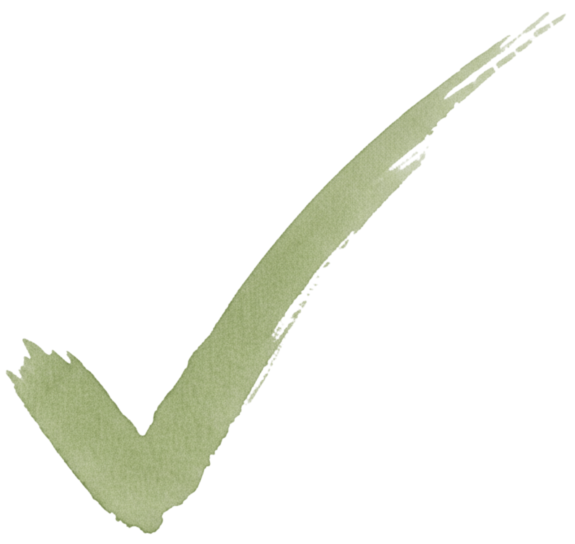 hand-drawn checkmark